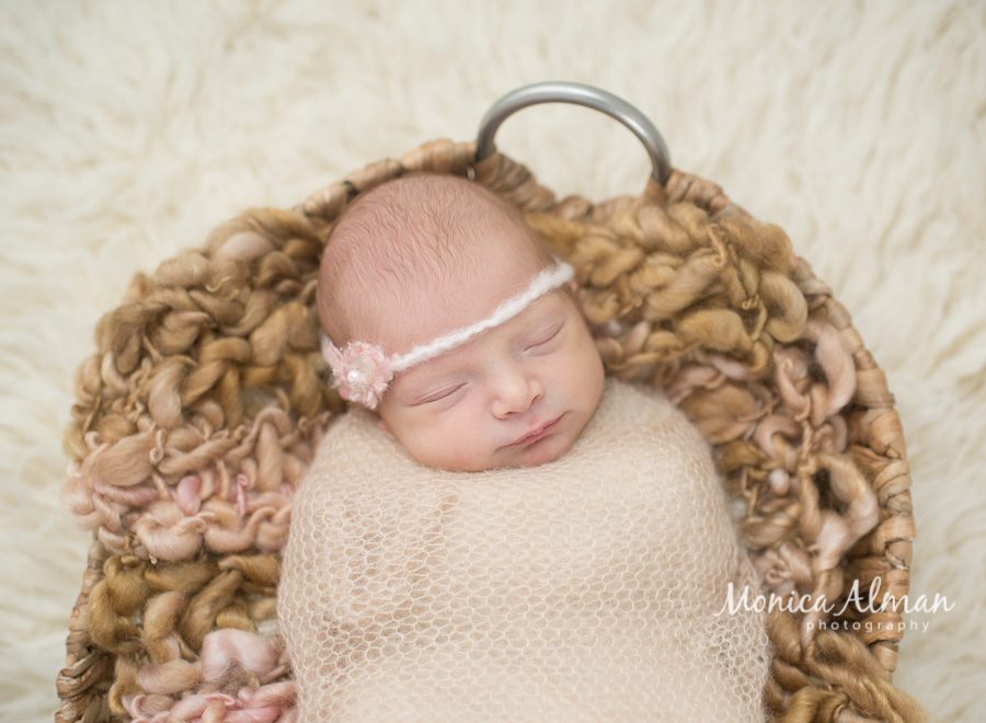 Beautiful Newborn Baby Girl Baby in Basket Photo
