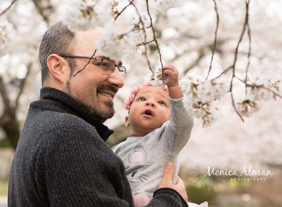 Cherry Blossom Session Baby Touching Flowers Photo