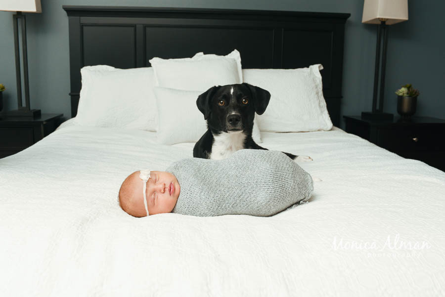 It's-a-girl-baby-with-dog-photo