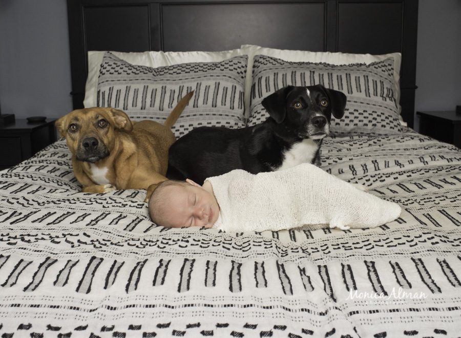 Newborn with puppies