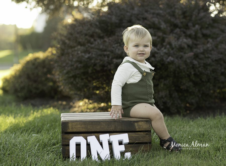first birthday portraits