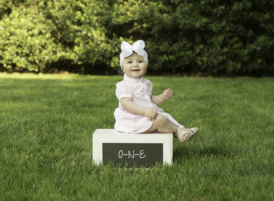 First birthday girl portaits