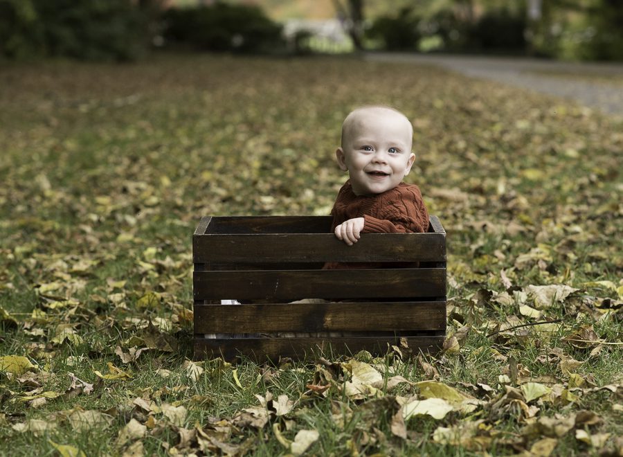 fall portrait of baby in leaves
