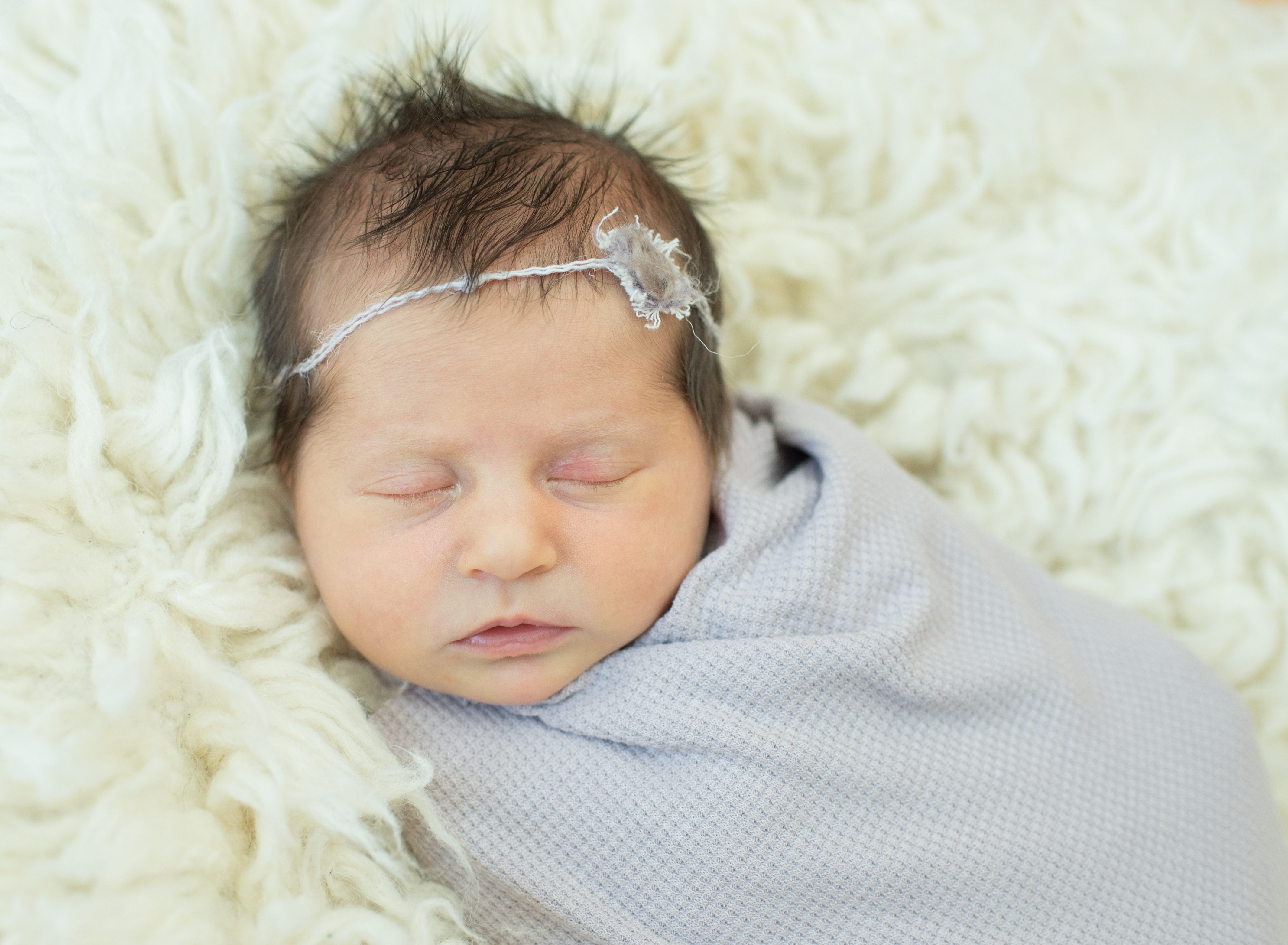 adorable baby girl newborn photo