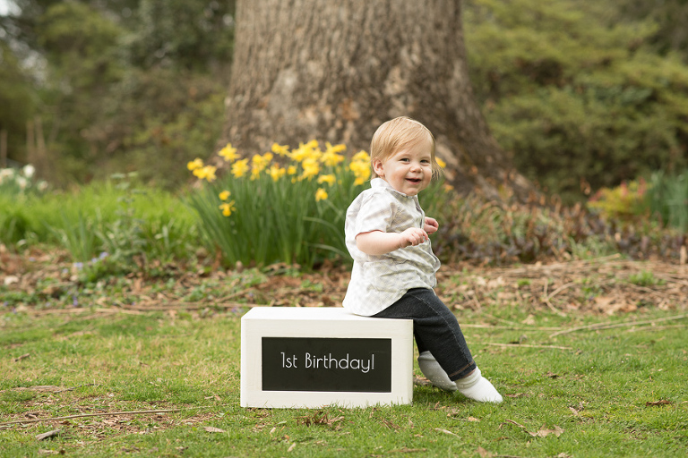 First birthday portraits in Maryland